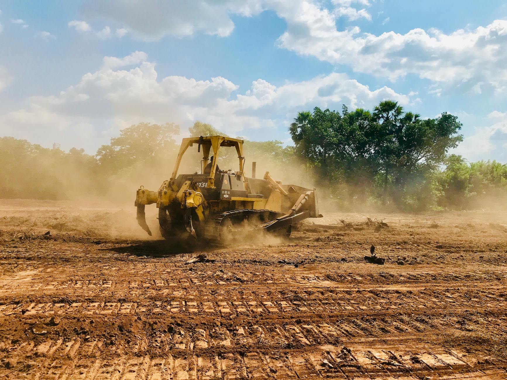 How Much Does Land Clearing Cost in Florida? (2026 Guide)