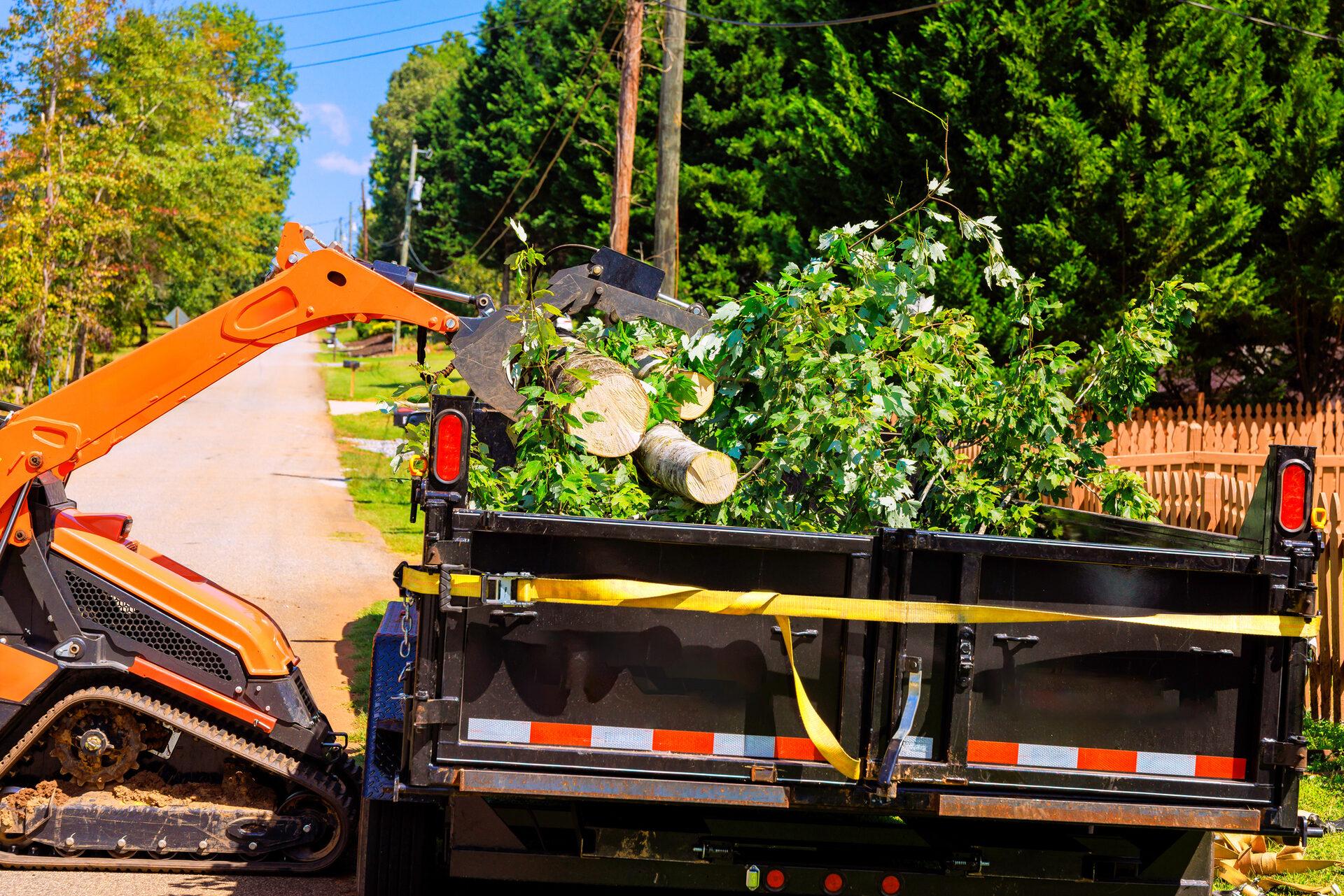 Skid steer loading debris into hauling truck